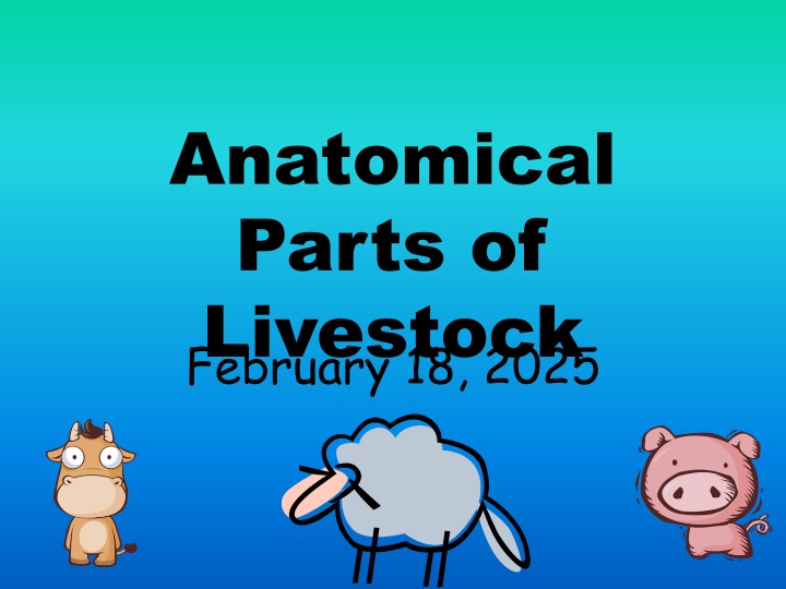 Anatomical Parts of livestock