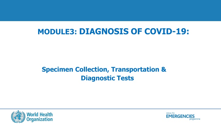 COVID-19 Specimen Collection & Diagnostic Tests