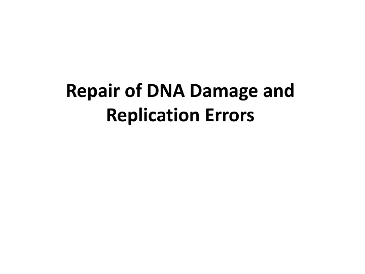 DNA Damage Repair and Protein Synthesis Overview