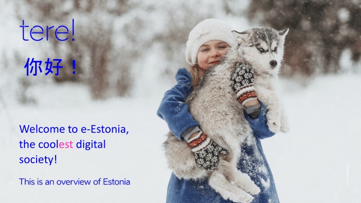 Welcome to e-Estonia: The Coolest Digital Society Ever!