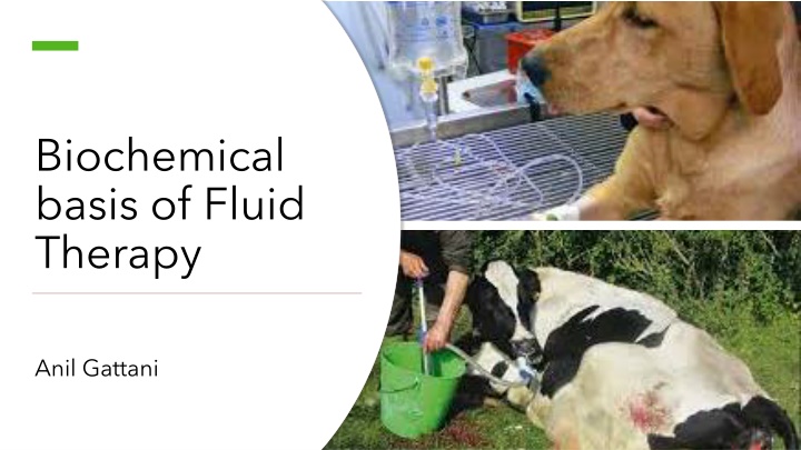 Biochemical Basis of Fluid Therapy and Dehydration Indications