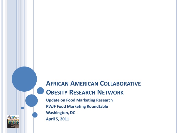 African American Obesity Research Network: Food Marketing Equity