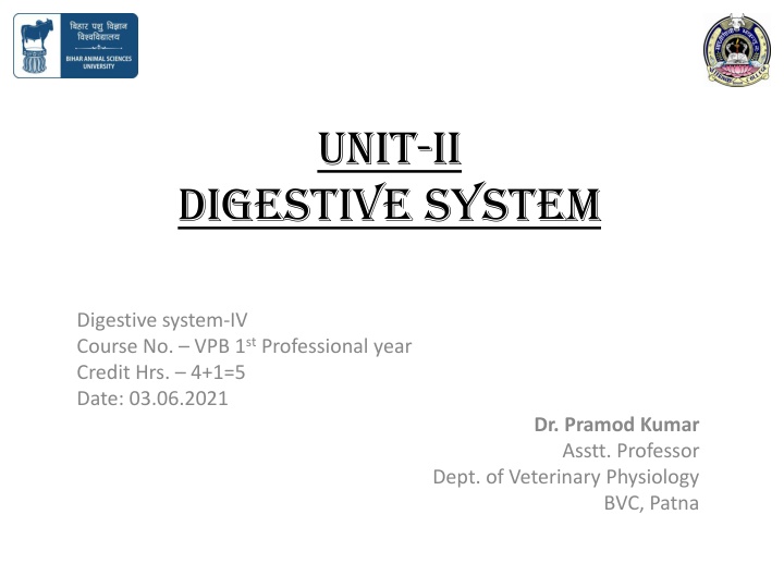 Digestive System