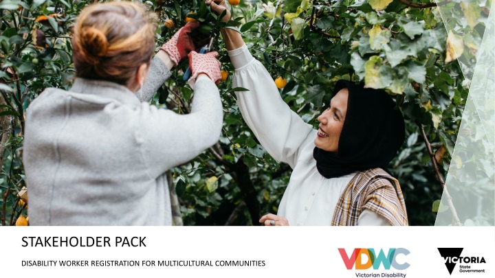 Disability Worker Registration for Multicultural Communities Key Messages and Materials