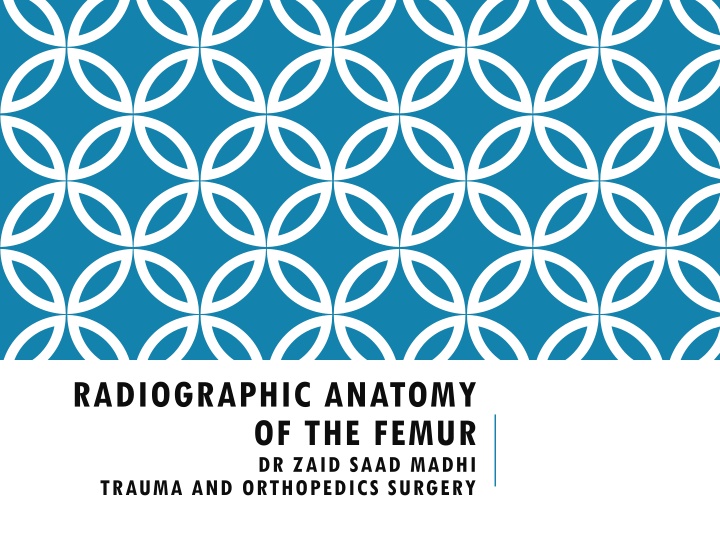 RADIOGRAPHIC ANATOMY