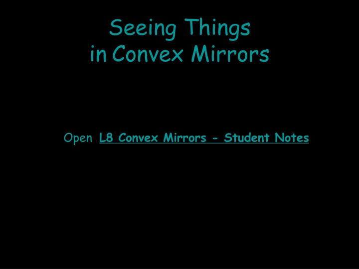 Seeing Things  in Convex Mirrors