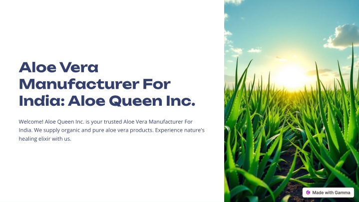 aloe vera manufacturer for india aloe queen inc n.w