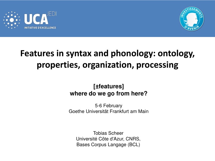 Parametric Information in Syntax and Phonology: Features, Organization, Processing