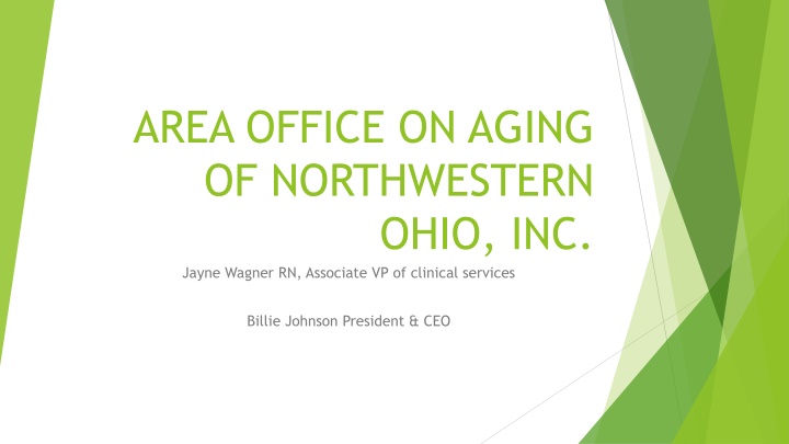Area Office on Aging of Northwestern Ohio Services