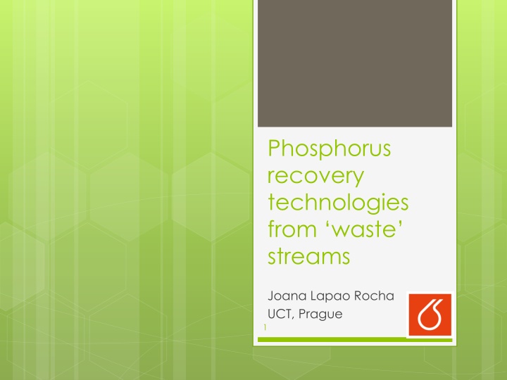Phosphorus Recovery Technologies from Waste Streams