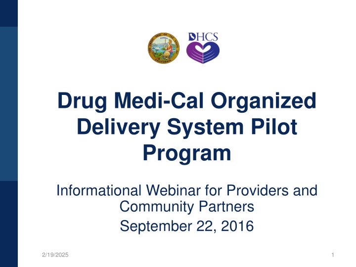 Drug Medi-Cal Organized Delivery System Pilot Program Information