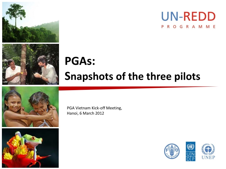 Snapshot of PGA Pilots for REDD+ Governance