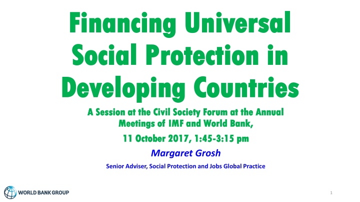 Financing Universal Social Protection in Developing Countries