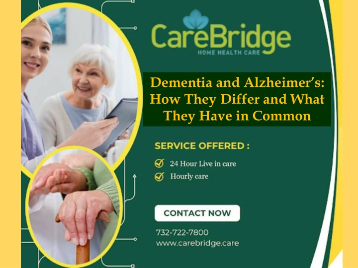 Dementia and Alzheimer’s: How They Differ and What They Have in Common