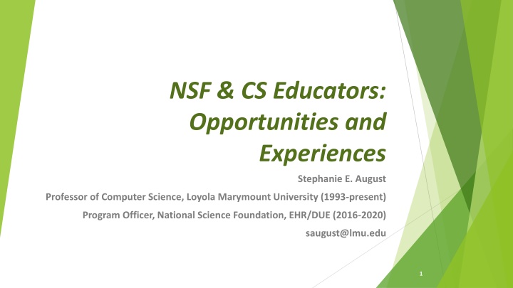 Insights for NSF & CS Educators