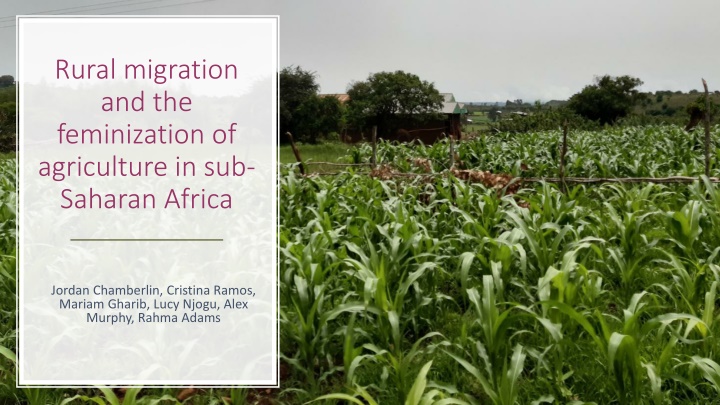 Rural Migration and the Feminization of Agriculture in sub-Saharan Africa