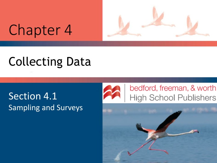 Sampling and Surveys: Understanding Population and Sample