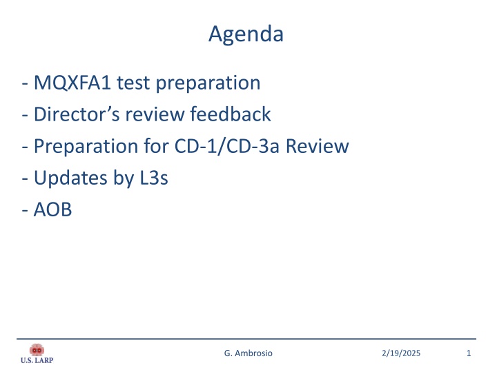 Director's Review and Recommendations for Project Execution