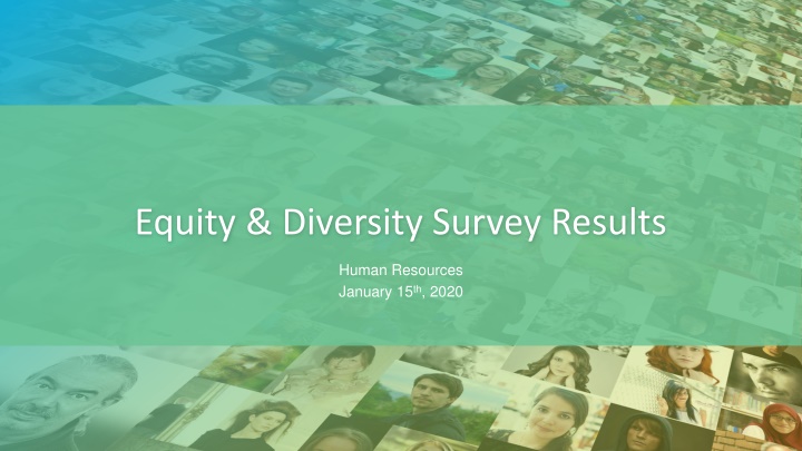 Equity & Diversity Survey Results - Human Resources Report