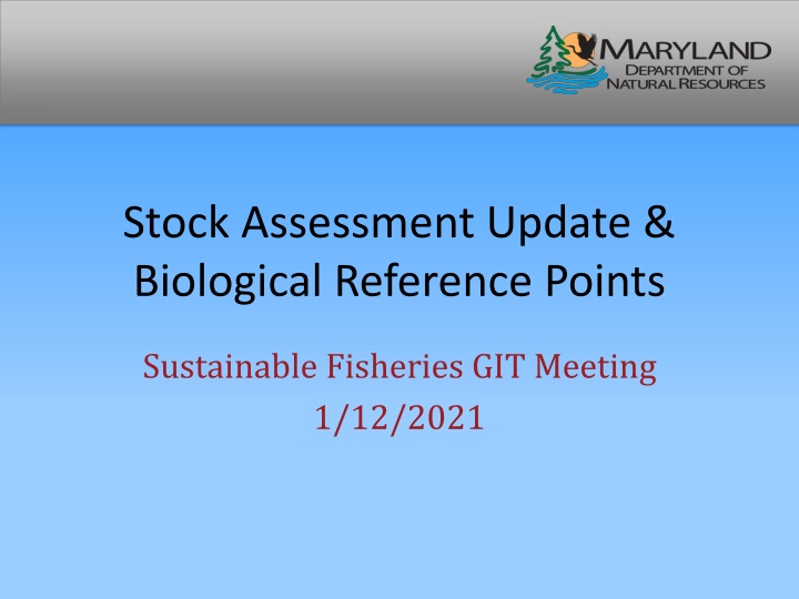 Sustainable Fisheries Stock Assessment Update & Biological Reference Points