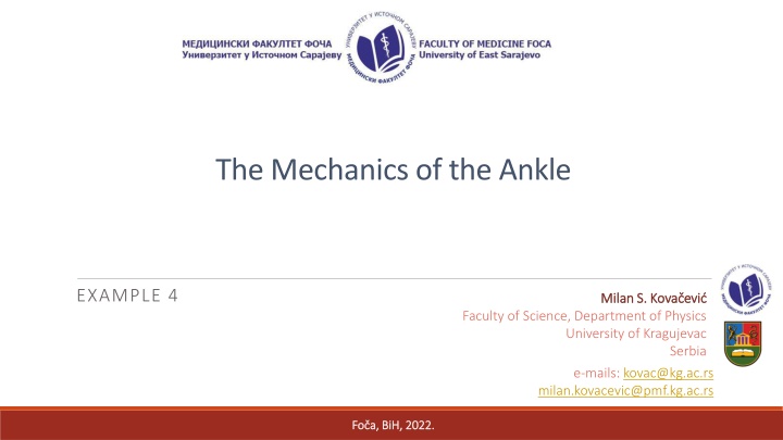 The Mechanics of the Ankle