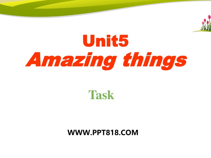 Amazing Things - Facts and History