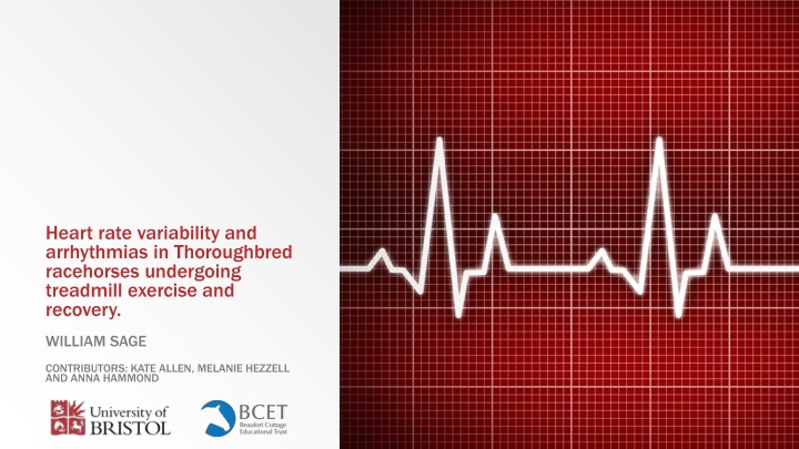 Heart Rate Variability and Arrhythmias in Thoroughbred Racehorses