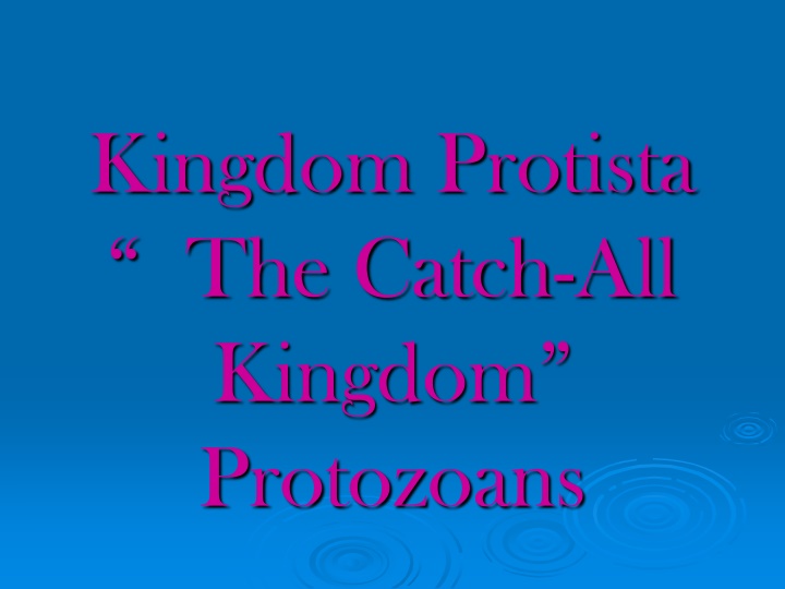 Introduction to Kingdom Protozoans: Characteristics, Reproduction, and Evolution