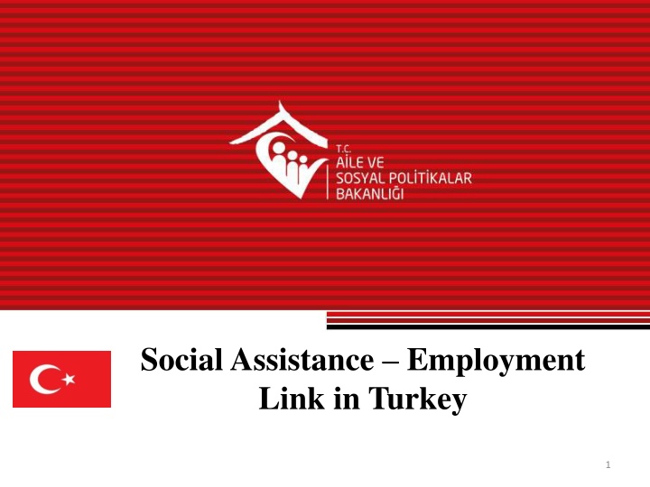 Social Assistance and Employment Link in Turkey Overview