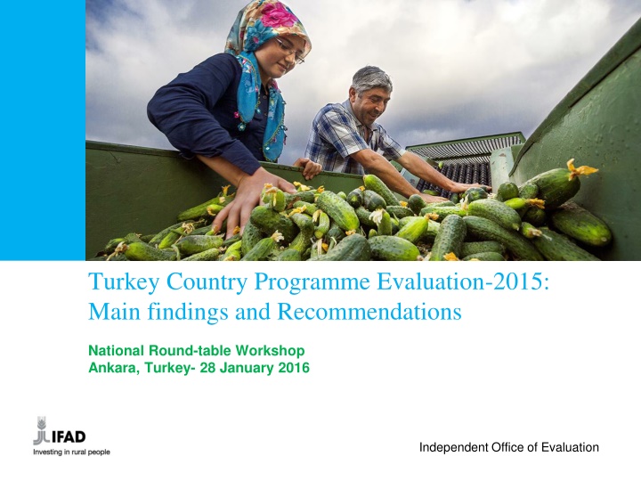 IFAD-Turkey Partnership Evaluation: Findings and Recommendations