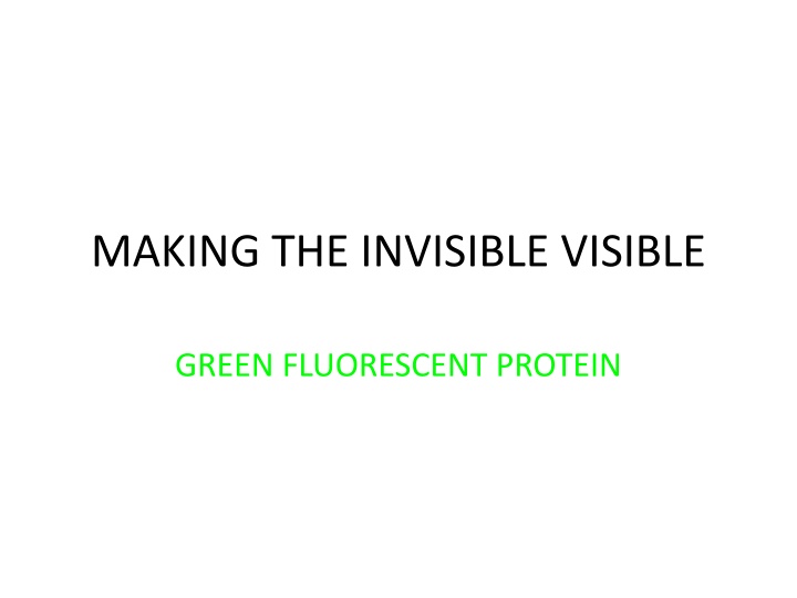 MAKING THE INVISIBLE VISIBLE