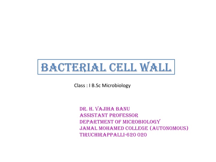 Bacterial Cell Wall