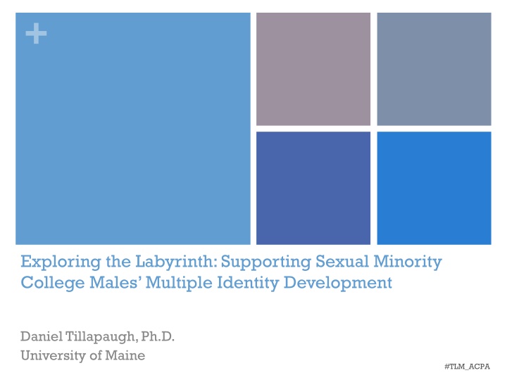 Exploring the Labyrinth: Supporting Sexual Minority  College Males’ Multiple Identity Development