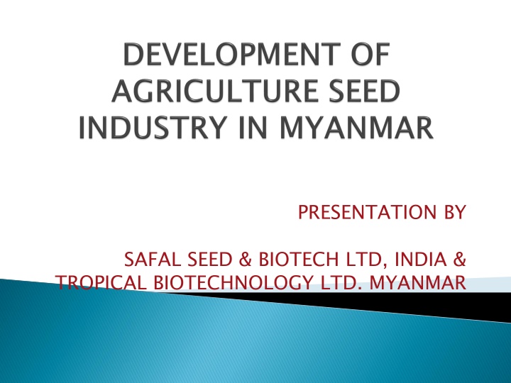 Seed Production Challenges and Market Opportunities