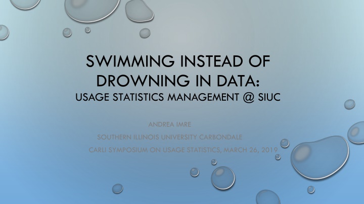 Swimming Instead of Drowning in Data: Usage Statistics Management at SIUC