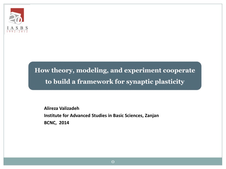 How theory, modeling, and experiment cooperate  to build a framework for synaptic plasticity