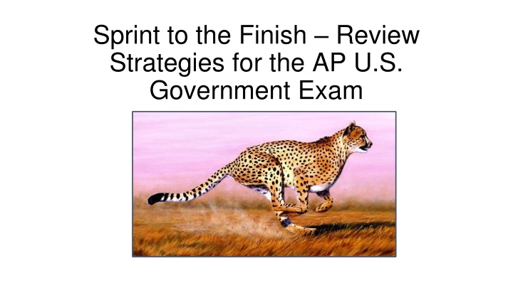 Effective AP U.S. Government Exam Review Strategies