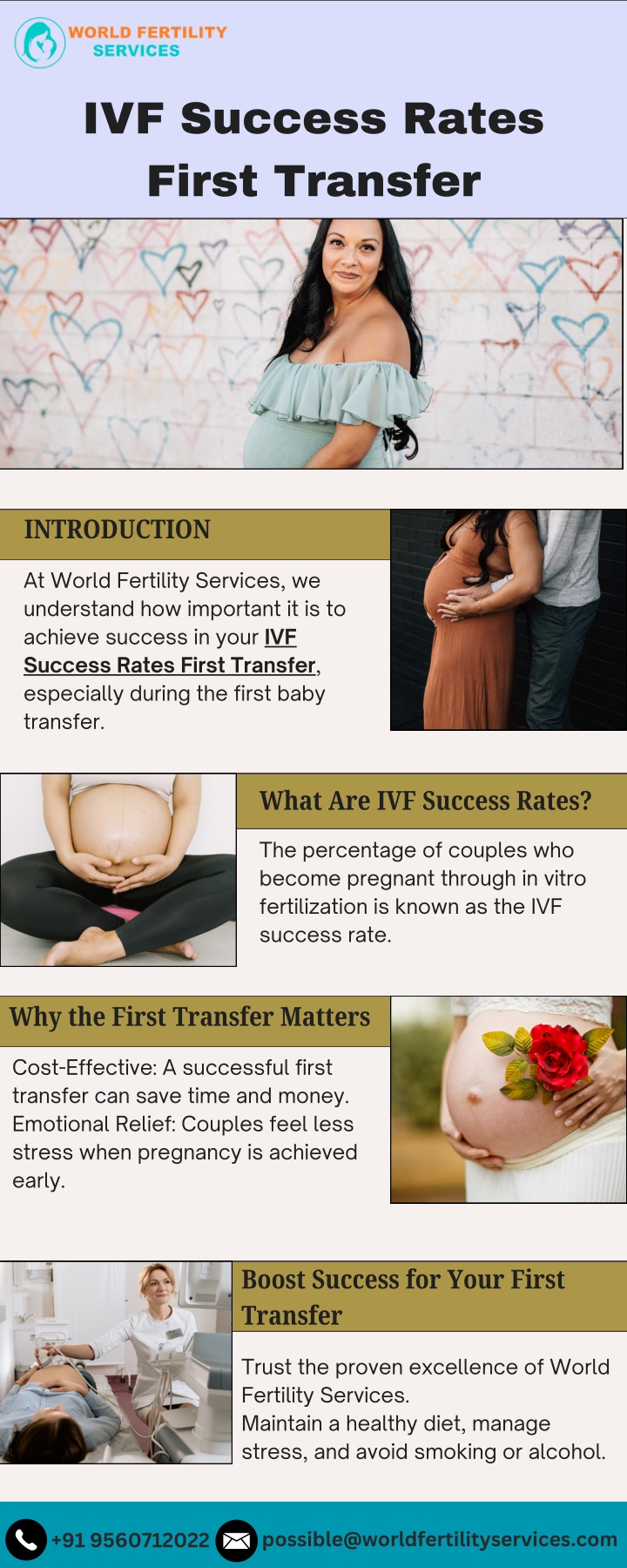 ivf success rates first transfer n.w