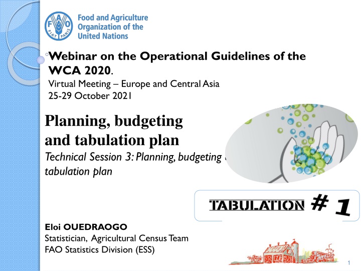 Operational Guidelines of WCA 2020 Census Work Plan