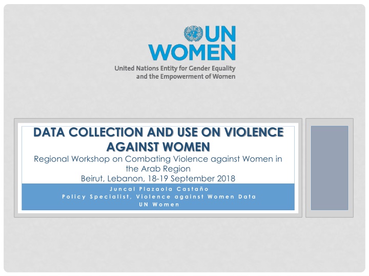 Data Collection on Violence against Women: Global Indicators and SDG Progress