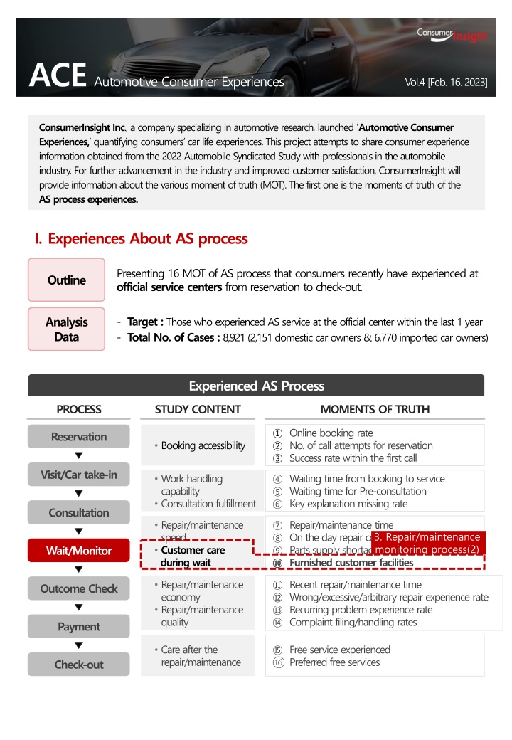 Insights into Automotive Consumer Experiences