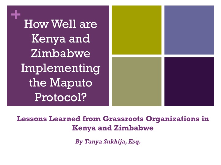 Kenya and Zimbabwe: Implementing Maputo Protocol Lessons Learned