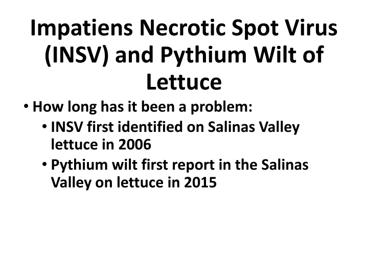 Challenges in Managing INSV and Pythium Wilt