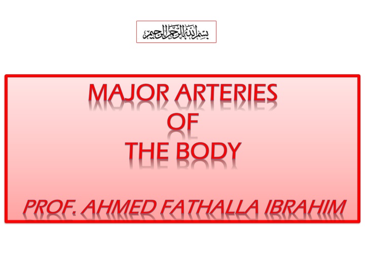 Arterial System Overview