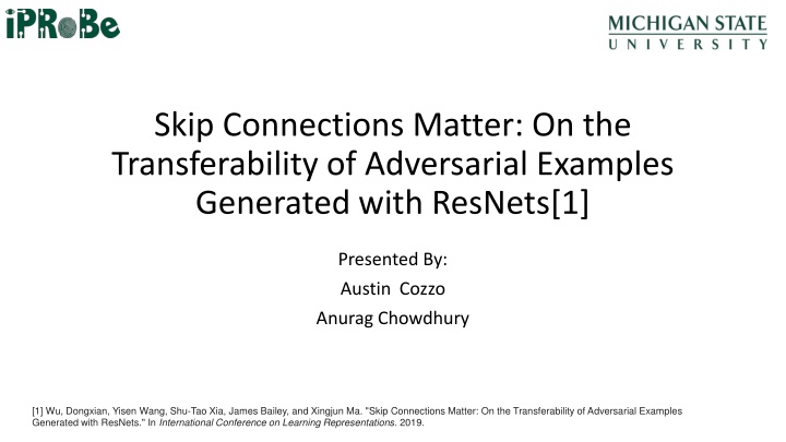 Adversarial Examples in Neural Networks