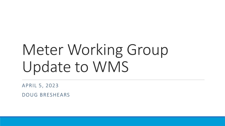 Meter Working Group Update to WMS