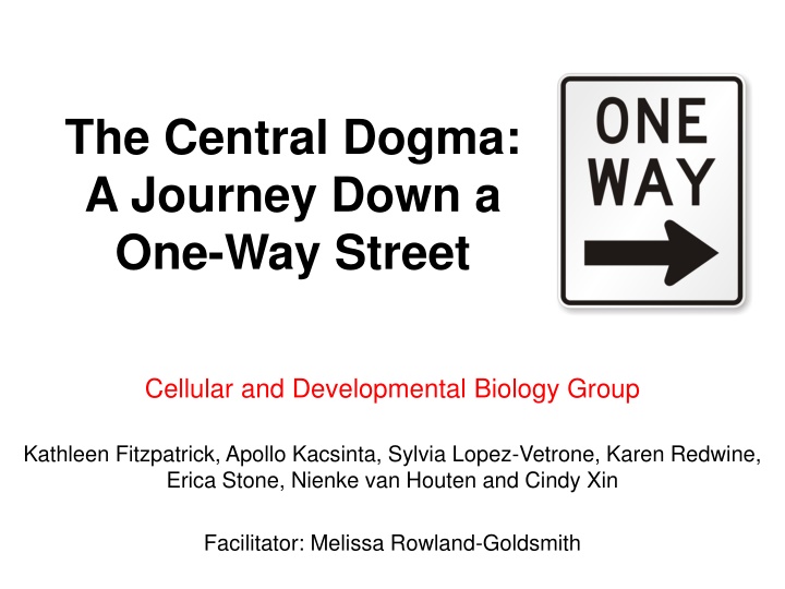 The Central Dogma: A Genetic Exploration