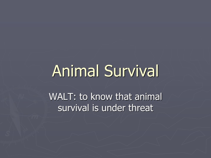 Animal Survival