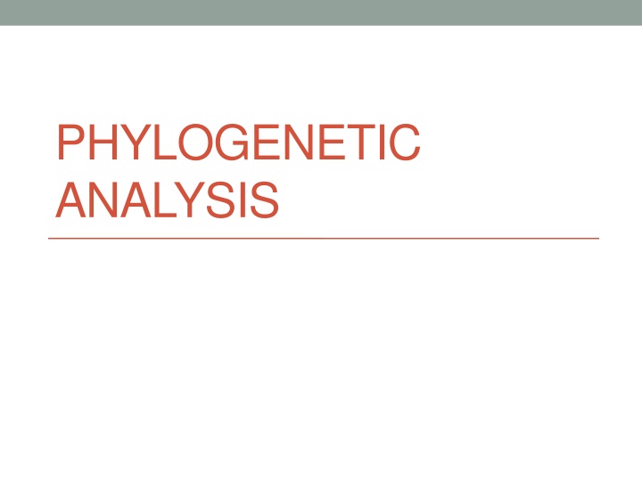 Phylogenetic Analysis and Tree Terminology