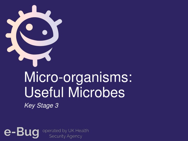 Micro-organisms: Useful Microbes